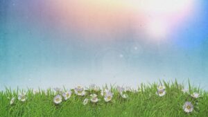 Jewish Life Coaching and Mentorship